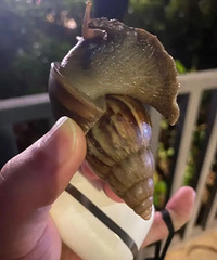 �����������ǧ��������ж���