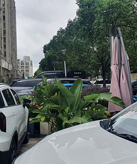 ��̨���У�������ռ�ô�����ѳ�λ�����¹ʳ���թ��û���Ź���