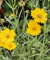 88���ٺ��У�����20���£�����̨�����ܣ�ԭ���ϲ��ں�������