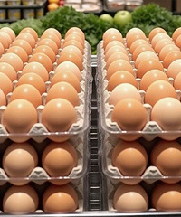 �۸����ˮ�����ơ�6��Ԫ���������µ�