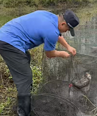 ���ȡ��ݳ�û����������ȳ�һֻ���ҡ����С���������