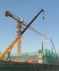 ̨�������ҡҡ����