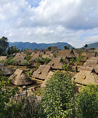 �̶�ԭʼ����λ