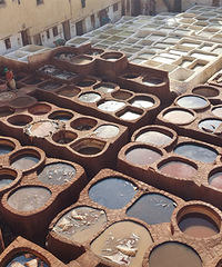 Ⱦ����Ƥ��Ž���