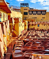 Ⱦ����վ��Ⱦ�����ϣ��������õ�Ƥ��Ž�����