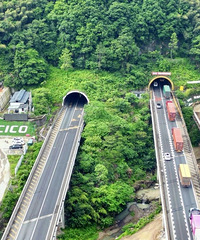 �̨�¸��ٸ�������������������ԭè����������˫����ͨ