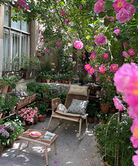 ��סһ���ĬĬת��