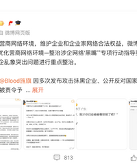又一汽车大V被禁言