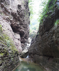 ��ɽ���ǣ��ں���������ʰ��ҰȤ