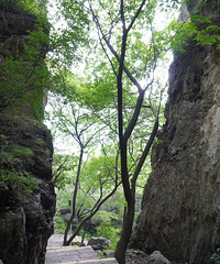 ��ɽ���ǣ��ں���������ʰ��ҰȤ