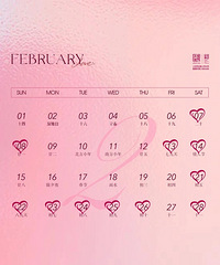 ���������ȿ���2026�������