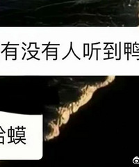 Ȱ������ĵ�ʱ�򣬾Ͷ࿴��С��ҵ��Ⱥ����Ц�ģ�