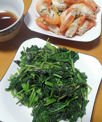 �������ʲô������������