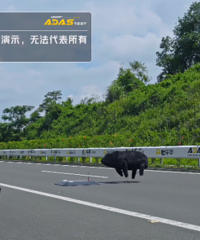 36�ȫ��������һ����յ�·�ϵ�ģ����ԣ����Ǽݵġ�������