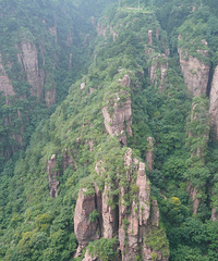 ��̫�Т������������ҷ����ʱ��ӡ��