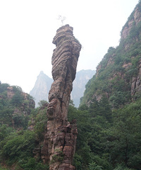 �˾����ˣ�������������������ʵ�Ǹɺ�ʯ̲ + �ȳ�ǳ̶