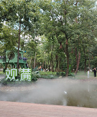 ȥ�ɾ�����ܻ�Ĺ�´����