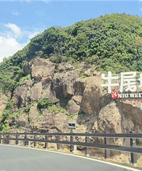 ȥţβ���ϸ���