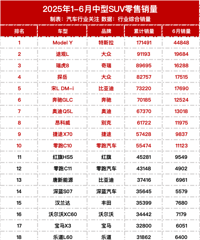 2025年上半年汽车零售销量榜