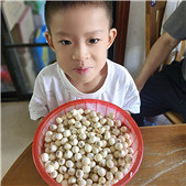 ������С����