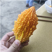 ����Խ��Խ��������