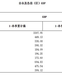 ̨��2025���ϰ��������GDP��¯����������������λ�е�һ