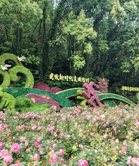 ��ع���Ա̫���Ҷ����ˣ�