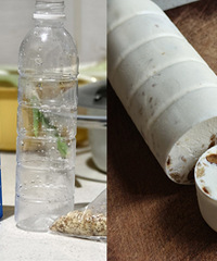 ���Ƽ������ѩ��