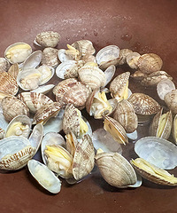 �ʵ�üë�Ķ쵰������˿��