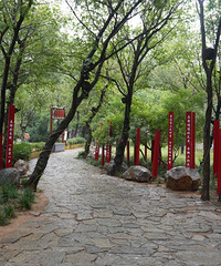 �����е�������Ժ��ǧ��������ʱ��Ի�