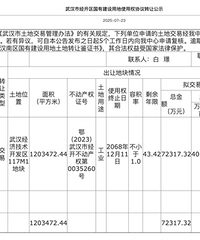 �ͼ�չ������人����