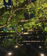 ����һ������С��