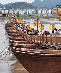 ̨�ݸ����н���