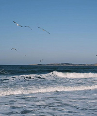 ����ȥɽ�����������Ļ��ĺ���ӵ