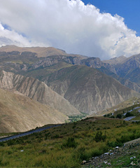 318�ϵĵ�ɫ�壬һ·��ɫ����ɫ�ʰ��