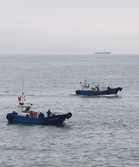 �¶��ĵ������Լ��������Ĵ���������Ľ�ʯ