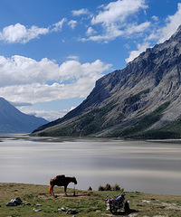 Զ���ں���