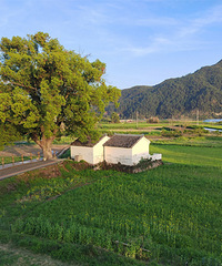 �����罨��ɽ�����