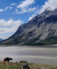 Զ���ں������������ͱ���