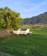 �����罨��ɽ�����