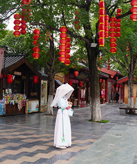 �����мǣ������Ϻ�԰��ĹŽ���ζ