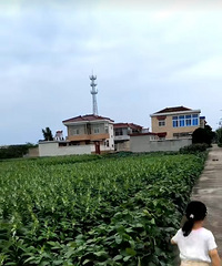 [����]��ٻ������ȥ���������𣿶��۾���Ҳ�����˶�