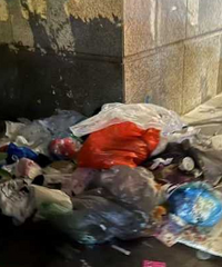 ���������ζ��