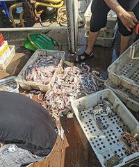 ���������ˣ�ˮ���ܶ࣬Ҳ����������Ϻз