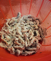 �������ʲô���ϳ���ͷ��ͳС��������