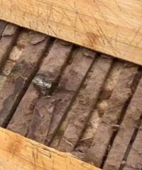 Ů�Ӷ��﷢�ִ���ù����һ��ϰ���������У��ܶ��ͥ��������