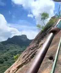 ʹ�ģ���׹�������������������������ɷ�������ϵ������¡�