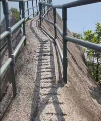 ʹ�ģ���׹�������������������������ɷ�������ϵ������¡�