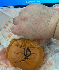 ���ڵĿϵ»�������ͷ��ˮ������