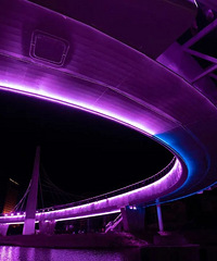 ���ƣ����ҵ����ţ�